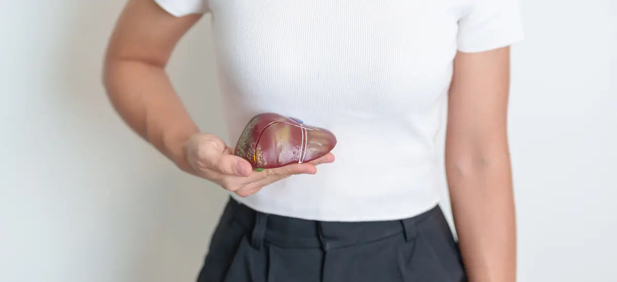 una persona con una tshirt bianca tiene in mano un fegato artificiale